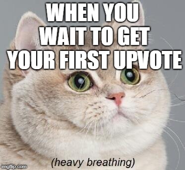 Heavy Breathing Cat Meme | WHEN YOU WAIT TO GET YOUR FIRST UPVOTE | image tagged in memes,heavy breathing cat | made w/ Imgflip meme maker