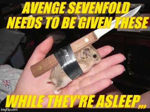 Lock and Load Hamster | AVENGE SEVENFOLD NEEDS TO BE GIVEN THESE WHILE THEY'RE ASLEEP,,, | image tagged in lock and load hamster | made w/ Imgflip meme maker