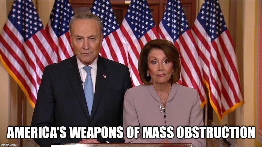Chuck and Nancy | AMERICA’S WEAPONS OF MASS OBSTRUCTION | image tagged in chuck and nancy | made w/ Imgflip meme maker