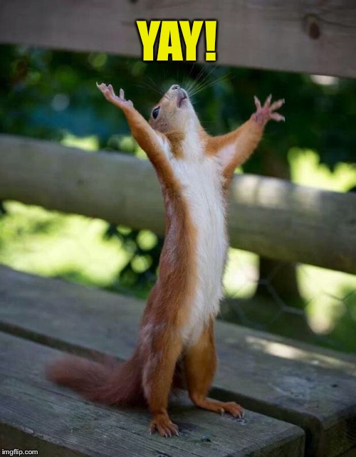 Happy Squirrel | YAY! | image tagged in happy squirrel | made w/ Imgflip meme maker