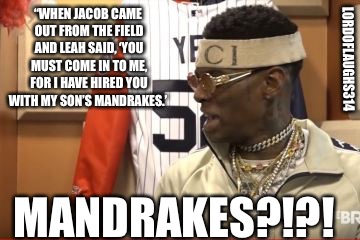 Say wha??? | “WHEN JACOB CAME OUT FROM THE FIELD AND LEAH SAID, ‘YOU MUST COME IN TO ME, FOR I HAVE HIRED YOU WITH MY SON’S MANDRAKES.’; LORDOFLAUGHS314; MANDRAKES?!?! | image tagged in drake,soldier | made w/ Imgflip meme maker