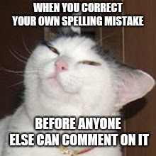 smug cat | WHEN YOU CORRECT YOUR OWN SPELLING MISTAKE; BEFORE ANYONE ELSE CAN COMMENT ON IT | image tagged in smug cat | made w/ Imgflip meme maker