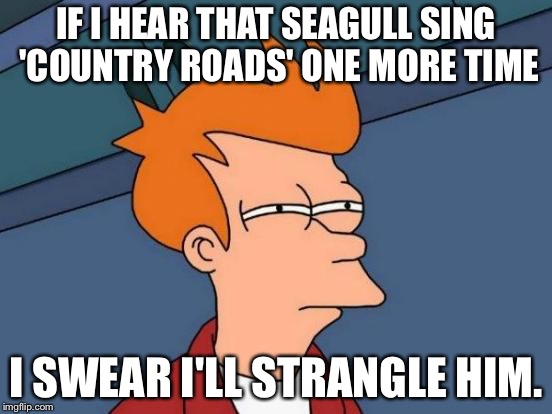 I swear it... | IF I HEAR THAT SEAGULL SING 'COUNTRY ROADS' ONE MORE TIME; I SWEAR I'LL STRANGLE HIM. | image tagged in memes,futurama fry | made w/ Imgflip meme maker