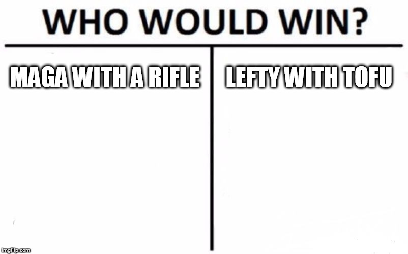 Who Would Win? Meme | MAGA WITH A RIFLE; LEFTY WITH TOFU | image tagged in memes,who would win | made w/ Imgflip meme maker