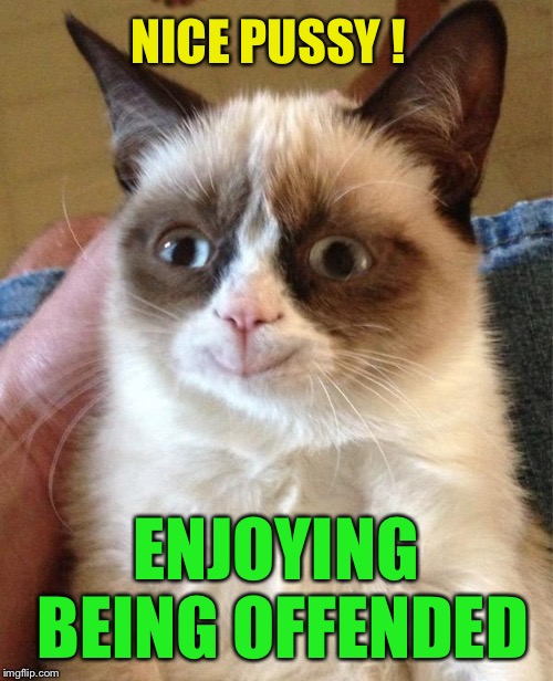 Grumpy Cat Happy Meme | NICE PUSSY ! ENJOYING BEING OFFENDED | image tagged in memes,grumpy cat happy,grumpy cat | made w/ Imgflip meme maker
