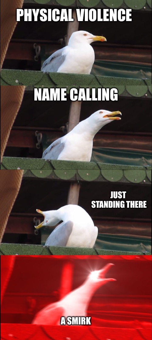 Inhaling Seagull | PHYSICAL VIOLENCE; NAME CALLING; JUST STANDING THERE; A SMIRK | image tagged in memes,inhaling seagull | made w/ Imgflip meme maker