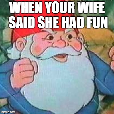 David the Gnome | WHEN YOUR WIFE SAID SHE HAD FUN | image tagged in david the gnome | made w/ Imgflip meme maker