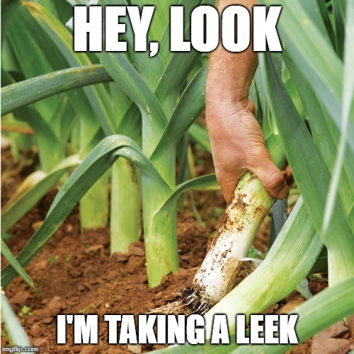 Dirty gardening | HEY, LOOK; I'M TAKING A LEEK | image tagged in leek,gardening,pee,peeing | made w/ Imgflip meme maker