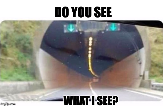 "Tunnel Vision" | DO YOU SEE; WHAT I SEE? | image tagged in optical illusion,funny meme | made w/ Imgflip meme maker