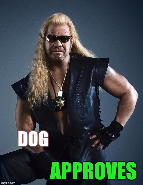Dog the Bounty Hunter | DOG APPROVES | image tagged in dog the bounty hunter | made w/ Imgflip meme maker