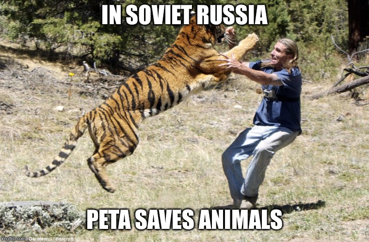PETA Tiger | IN SOVIET RUSSIA; PETA SAVES ANIMALS | image tagged in peta tiger | made w/ Imgflip meme maker