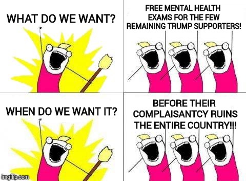 Sdriously.  What More Do You Truly Need? | FREE MENTAL HEALTH EXAMS FOR THE FEW REMAINING TRUMP SUPPORTERS! WHAT DO WE WANT? WHEN DO WE WANT IT? BEFORE THEIR COMPLAISANTCY RUINS THE ENTIRE COUNTRY!!! | image tagged in memes,what do we want,trump unfit unqualified dangerous,lock him up,trump traitor,liar in chief | made w/ Imgflip meme maker