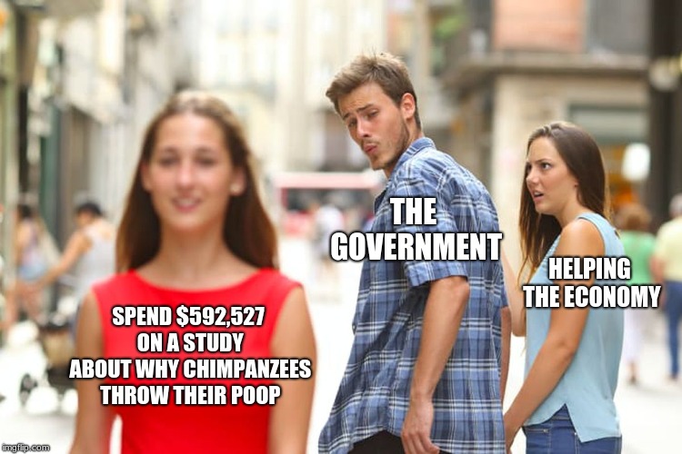 Distracted Boyfriend | THE GOVERNMENT; HELPING THE ECONOMY; SPEND $592,527 ON A STUDY ABOUT WHY CHIMPANZEES THROW THEIR POOP | image tagged in memes,distracted boyfriend | made w/ Imgflip meme maker