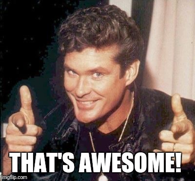 The Hoff thinks your awesome | THAT'S AWESOME! | image tagged in the hoff thinks your awesome | made w/ Imgflip meme maker