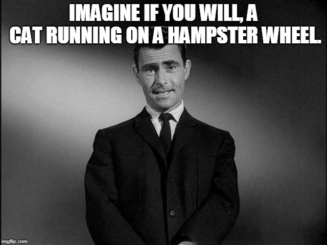 rod serling twilight zone | IMAGINE IF YOU WILL, A CAT RUNNING ON A HAMPSTER WHEEL. | image tagged in rod serling twilight zone | made w/ Imgflip meme maker