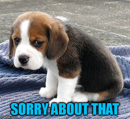 sad dog | SORRY ABOUT THAT | image tagged in sad dog | made w/ Imgflip meme maker