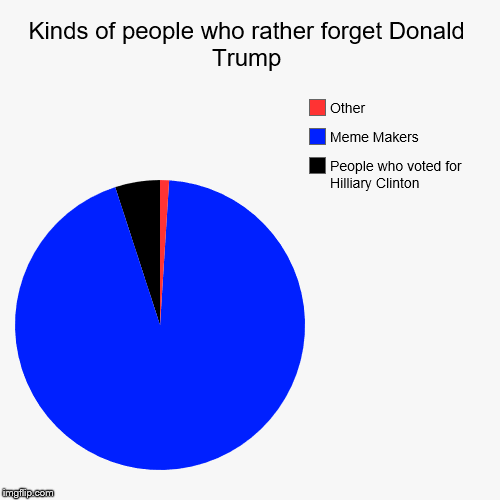 Kinds of people who rather forget Donald Trump | People who voted for Hilliary Clinton, Meme Makers, Other | image tagged in funny,pie charts | made w/ Imgflip chart maker