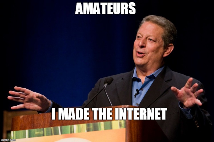 Al Gore | AMATEURS I MADE THE INTERNET | image tagged in al gore | made w/ Imgflip meme maker