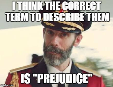 Captain Obvious | I THINK THE CORRECT TERM TO DESCRIBE THEM IS "PREJUDICE" | image tagged in captain obvious | made w/ Imgflip meme maker