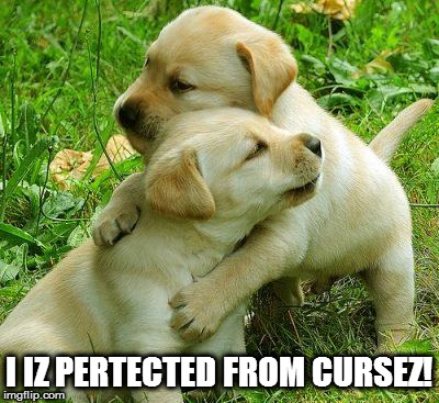 I IZ PERTECTED FROM CURSEZ! | made w/ Imgflip meme maker