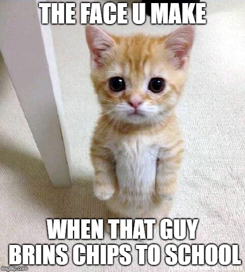 Cute Cat | THE FACE U MAKE; WHEN THAT GUY BRINS CHIPS TO SCHOOL | image tagged in memes,cute cat | made w/ Imgflip meme maker