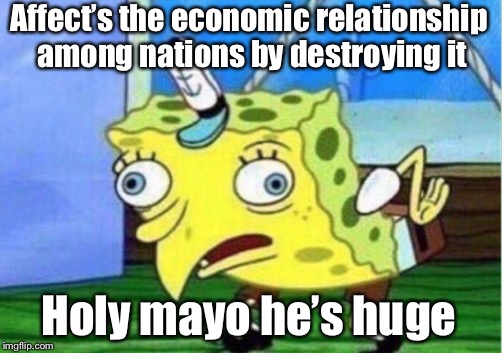 Mocking Spongebob | Affect’s the economic relationship among nations by destroying it; Holy mayo he’s huge | image tagged in memes,mocking spongebob | made w/ Imgflip meme maker
