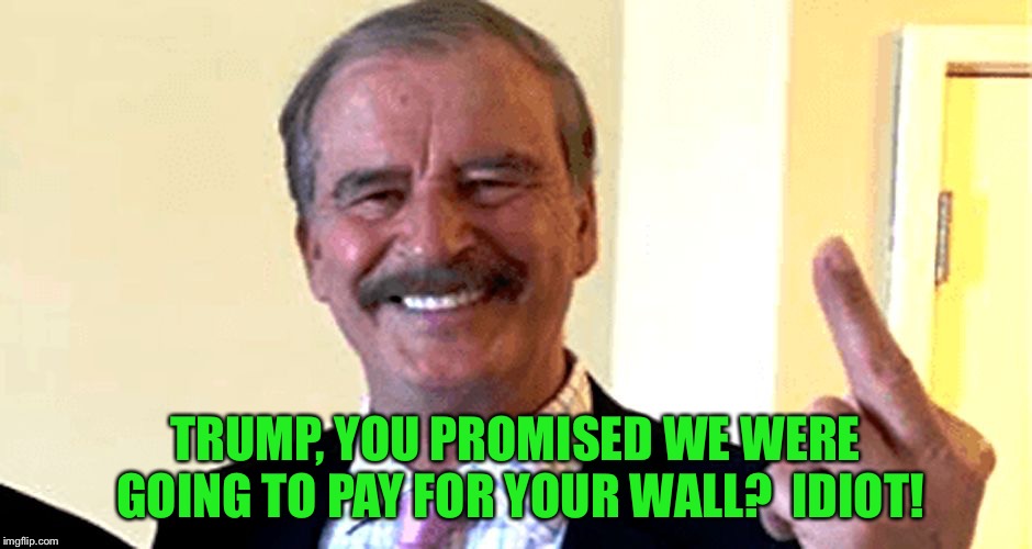 Vincente Fox | TRUMP, YOU PROMISED WE WERE GOING TO PAY FOR YOUR WALL?  IDIOT! | image tagged in vincente fox | made w/ Imgflip meme maker