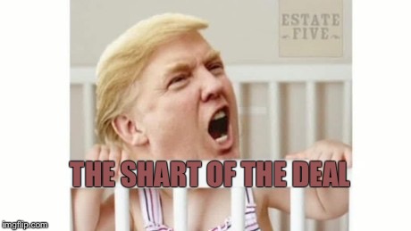 THE SHART OF THE DEAL | image tagged in poopy pants | made w/ Imgflip meme maker