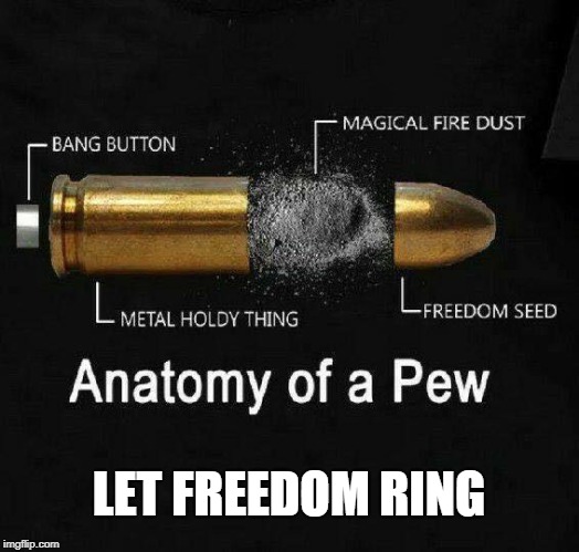 Freedom | LET FREEDOM RING | image tagged in cartridge,2nd amendment | made w/ Imgflip meme maker