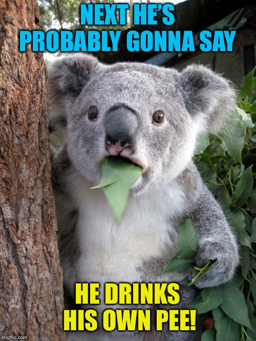 Surprised Koala Meme | NEXT HE’S PROBABLY GONNA SAY HE DRINKS HIS OWN PEE! | image tagged in memes,surprised koala | made w/ Imgflip meme maker
