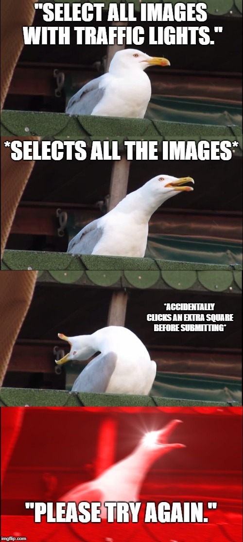 those Captcha things these days... | "SELECT ALL IMAGES WITH TRAFFIC LIGHTS."; *SELECTS ALL THE IMAGES*; *ACCIDENTALLY CLICKS AN EXTRA SQUARE BEFORE SUBMITTING*; "PLEASE TRY AGAIN." | image tagged in memes,inhaling seagull,captcha | made w/ Imgflip meme maker