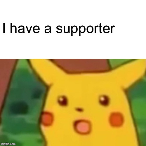 Surprised Pikachu Meme | I have a supporter | image tagged in memes,surprised pikachu | made w/ Imgflip meme maker