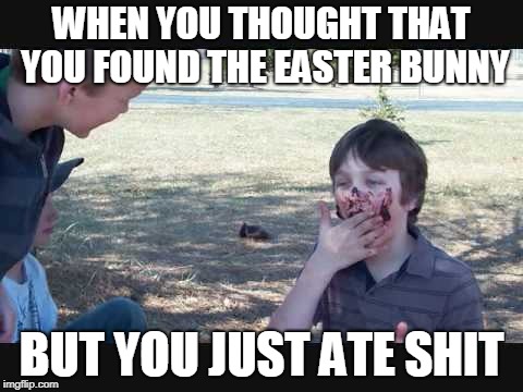 WHEN YOU THOUGHT THAT YOU FOUND THE EASTER BUNNY; BUT YOU JUST ATE SHIT | image tagged in dank memes | made w/ Imgflip meme maker