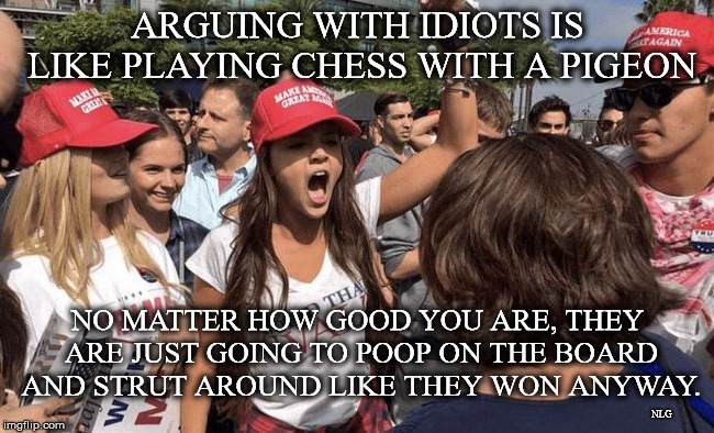 MAGA pigeons | ARGUING WITH IDIOTS IS LIKE PLAYING CHESS WITH A PIGEON; NO MATTER HOW GOOD YOU ARE, THEY ARE JUST GOING TO POOP ON THE BOARD AND STRUT AROUND LIKE THEY WON ANYWAY. NLG | image tagged in political humor | made w/ Imgflip meme maker