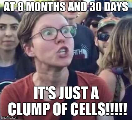Angry Liberal | AT 8 MONTHS AND 30 DAYS IT'S JUST A CLUMP OF CELLS!!!!! | image tagged in angry liberal | made w/ Imgflip meme maker