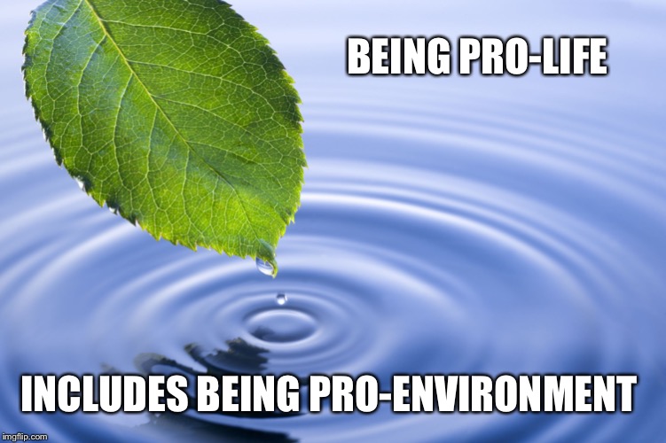Environment Game | BEING PRO-LIFE INCLUDES BEING PRO-ENVIRONMENT | image tagged in environment game | made w/ Imgflip meme maker