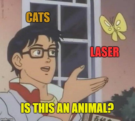 Why do cats have to chase everything that moves? | CATS; LASER; IS THIS AN ANIMAL? | image tagged in memes,is this a pigeon,cats,cats chasing lasers | made w/ Imgflip meme maker