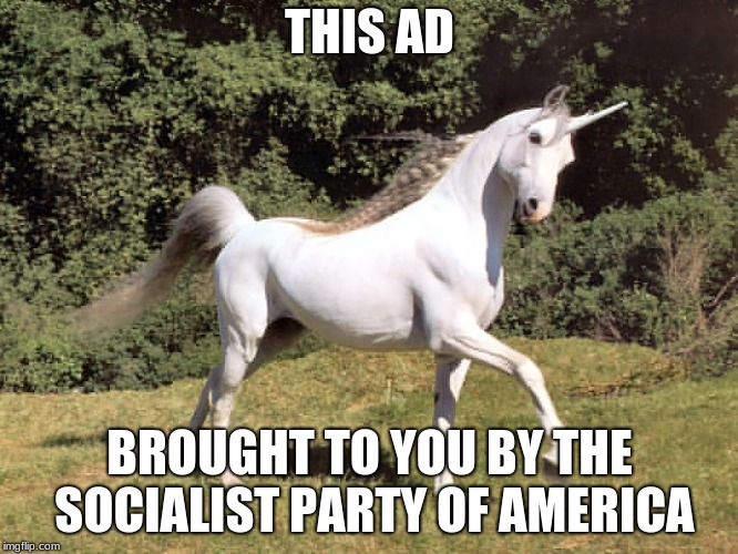 AOC Approved | THIS AD; BROUGHT TO YOU BY THE SOCIALIST PARTY OF AMERICA | image tagged in socialism,socialist,politics,satire,america,economics | made w/ Imgflip meme maker