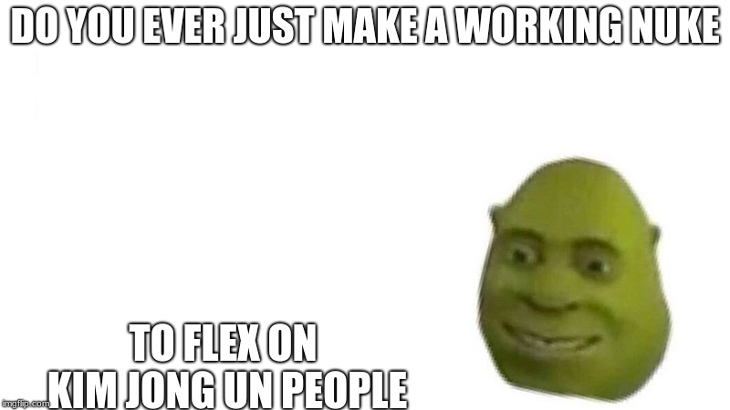 Shrek flex | DO YOU EVER JUST MAKE A WORKING NUKE; TO FLEX ON KIM JONG UN PEOPLE | image tagged in shrek flex | made w/ Imgflip meme maker