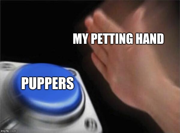Blank Nut Button | MY PETTING HAND; PUPPERS | image tagged in memes,blank nut button | made w/ Imgflip meme maker