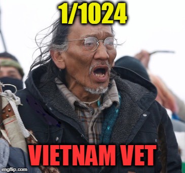 Stolen Valor  | 1/1024; VIETNAM VET | image tagged in 1/1024 vietnam vet,stolen,bullshit | made w/ Imgflip meme maker