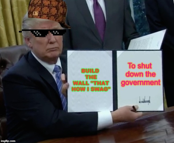 Trump Bill Signing Meme | BUILD THE WALL
"THAT HOW I SWAG"; To shut down the government | image tagged in memes,trump bill signing | made w/ Imgflip meme maker