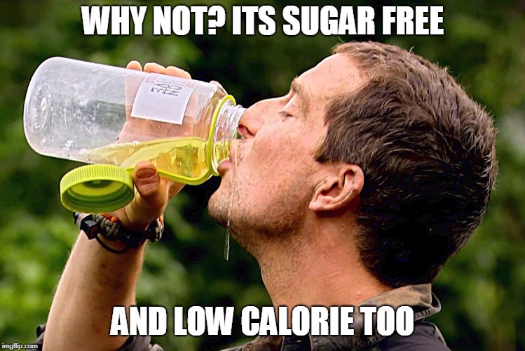 WHY NOT? ITS SUGAR FREE AND LOW CALORIE TOO | made w/ Imgflip meme maker