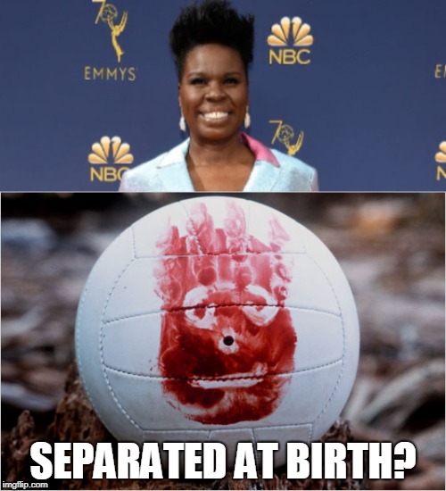 Wilson is funnier and has more talent than Leslie Jones  | SEPARATED AT BIRTH? | image tagged in ghostbusters 2016,sucks,wilson | made w/ Imgflip meme maker