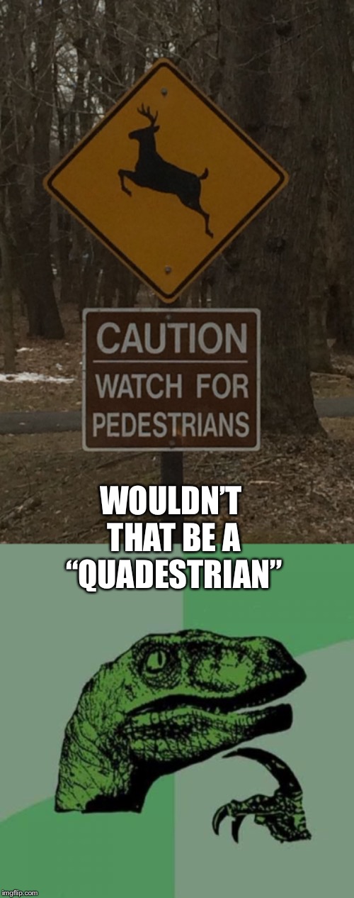 WOULDN’T THAT BE A “QUADESTRIAN” | image tagged in memes,philosoraptor,oh deer | made w/ Imgflip meme maker