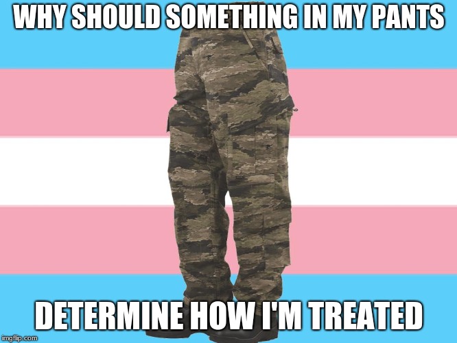 Trans Pants | WHY SHOULD SOMETHING IN MY PANTS; DETERMINE HOW I'M TREATED | image tagged in transgender | made w/ Imgflip meme maker