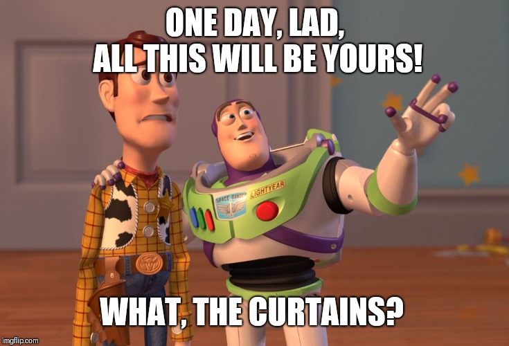 Monty Woody and the Holy Buzz | ONE DAY, LAD, ALL THIS WILL BE YOURS! WHAT, THE CURTAINS? | image tagged in memes,x x everywhere,monty python and the holy grail,monty python | made w/ Imgflip meme maker