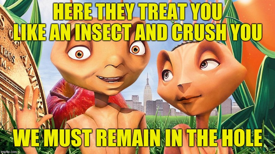 ants in paradise | HERE THEY TREAT YOU LIKE AN INSECT AND CRUSH YOU; WE MUST REMAIN IN THE HOLE | image tagged in ants,jungle | made w/ Imgflip meme maker