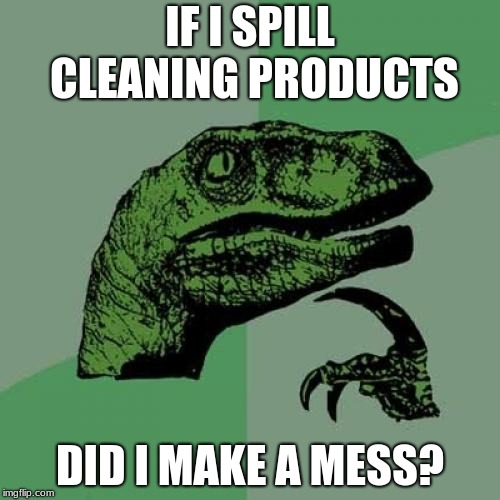 The age old question | IF I SPILL CLEANING PRODUCTS; DID I MAKE A MESS? | image tagged in memes,philosoraptor | made w/ Imgflip meme maker