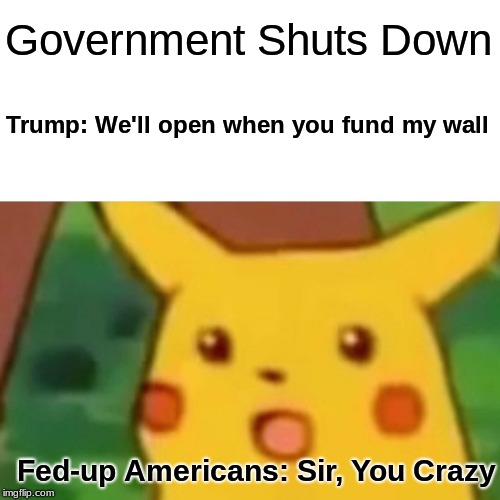 Wall Funds | Government Shuts Down; Trump: We'll open when you fund my wall; Fed-up Americans: Sir, You Crazy | image tagged in memes,surprised pikachu,trump | made w/ Imgflip meme maker